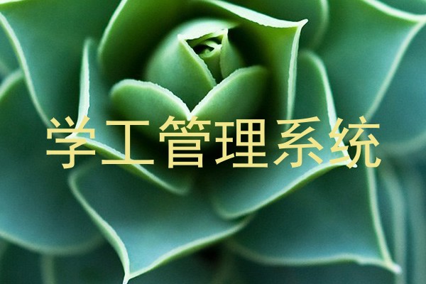 学工管理系统