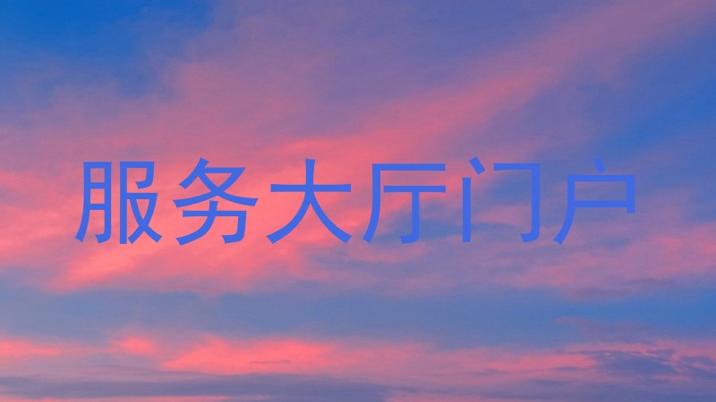 服务大厅门户