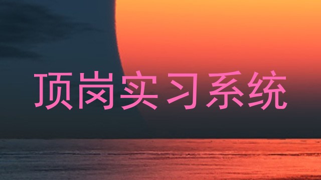 顶岗实习系统