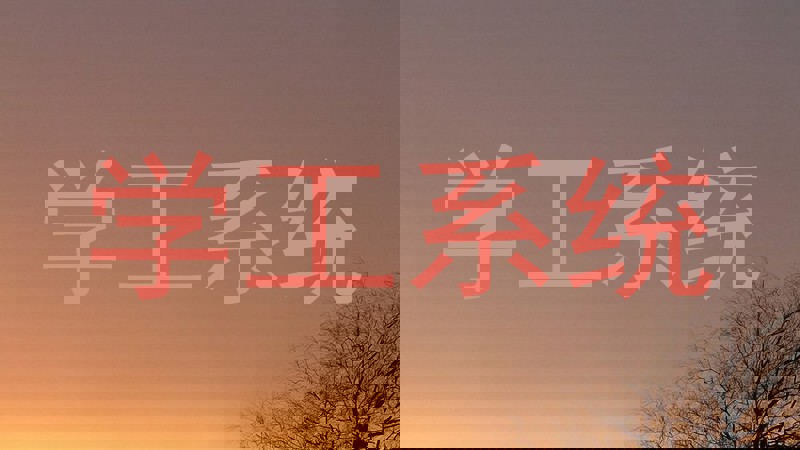 学工系统