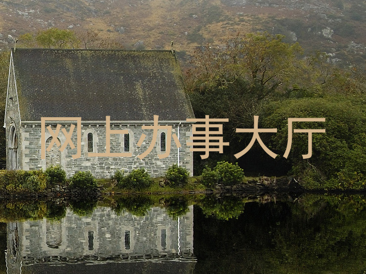 网上办事大厅