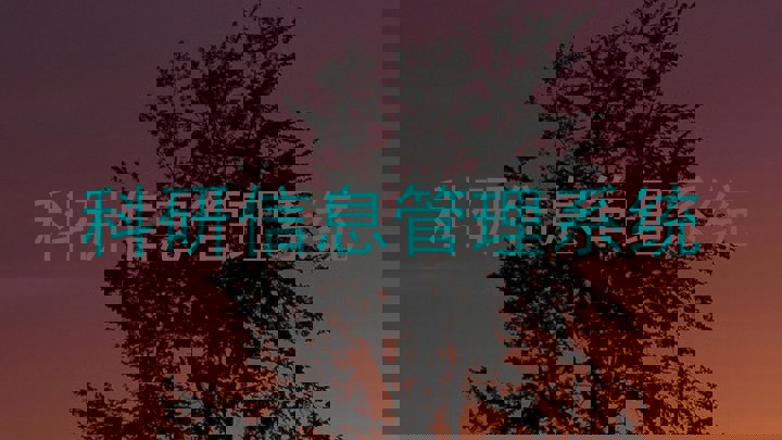 科研信息管理系统