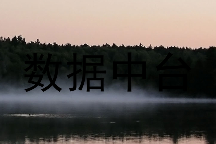 数据中台