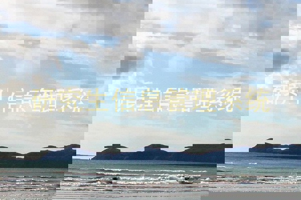 研究生信息管理系统