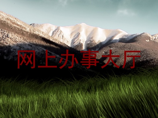 网上办事大厅