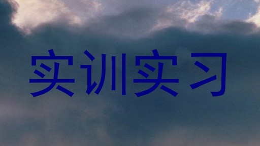 实训实习