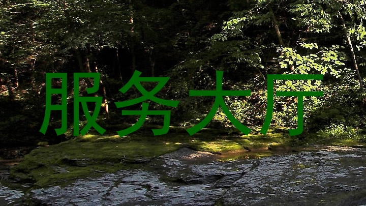 服务大厅