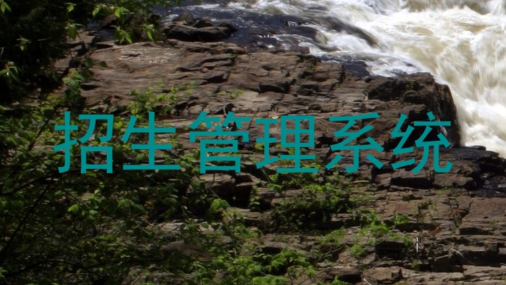 招生管理系统