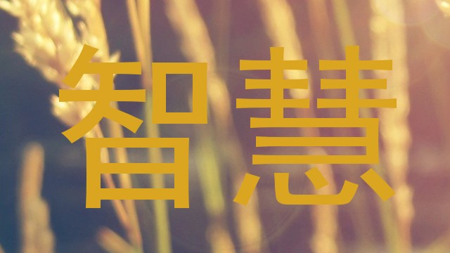 智慧