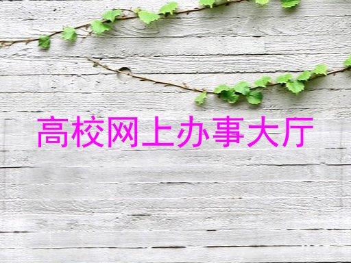 高校网上办事大厅