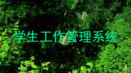 学生工作管理系统