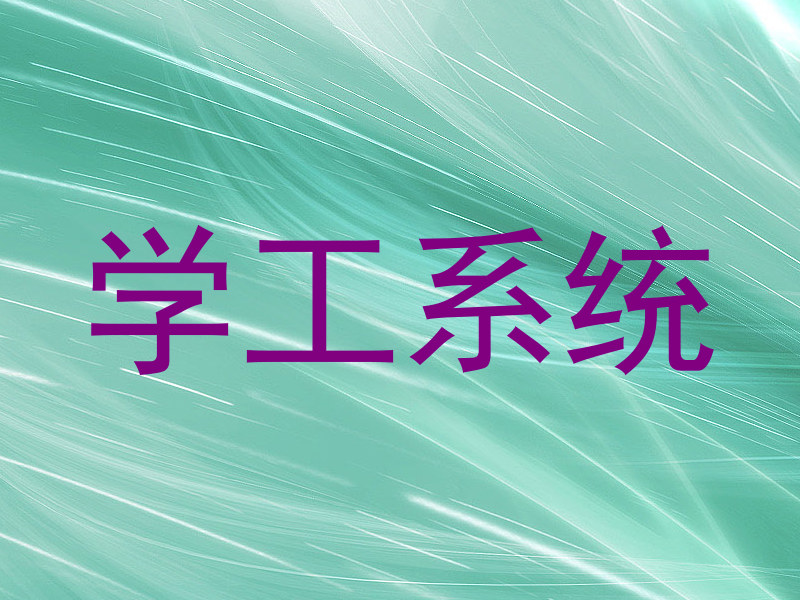 学工系统