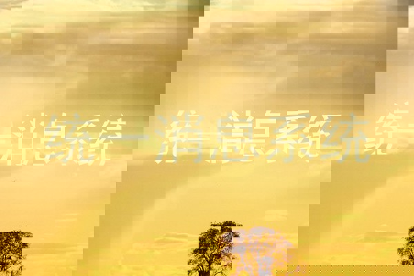 统一消息系统