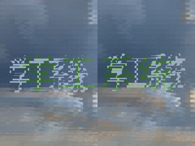 学工系统