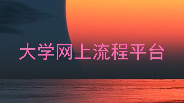 大学网上流程平台