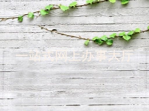 一站式网上办事大厅