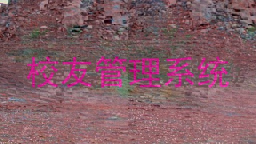 校友管理系统