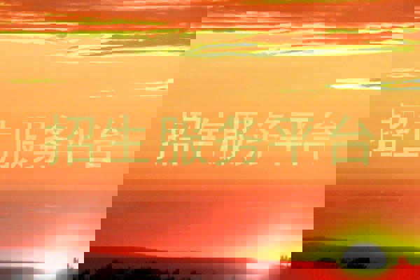 招生服务平台