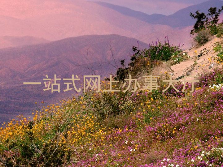 一站式网上办事大厅