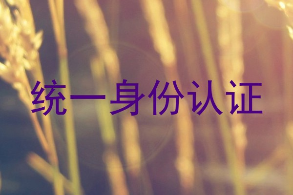 统一身份认证