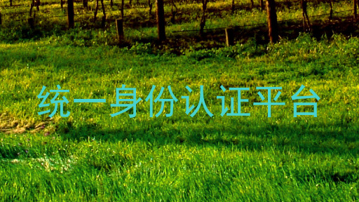 统一身份认证平台