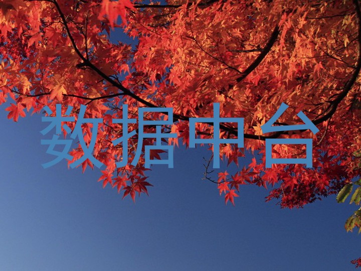 数据中台