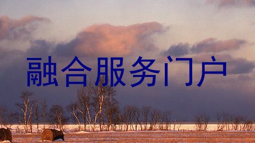融合服务门户