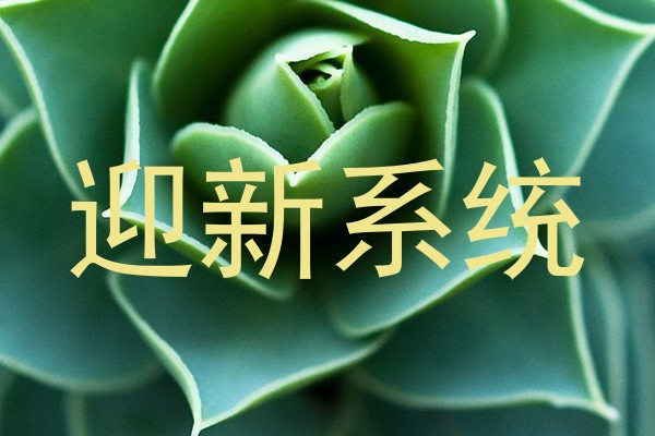 迎新系统