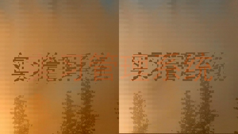 实习管理系统