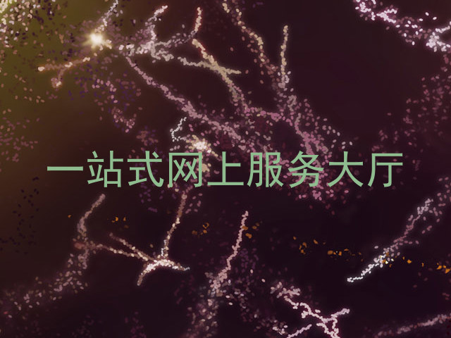 一站式网上服务大厅