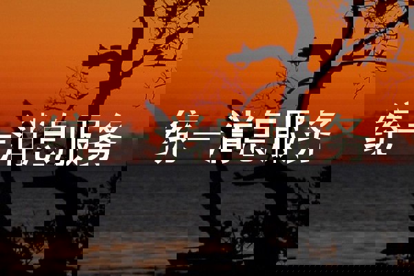 统一消息服务