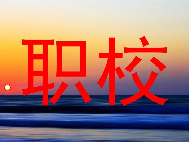 职校