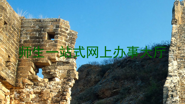 师生一站式网上办事大厅