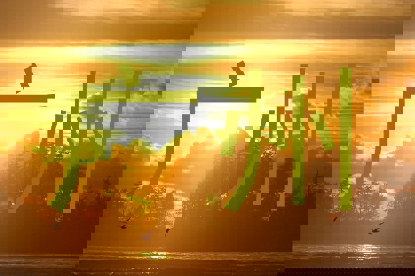 广州