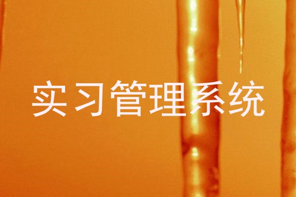 实习管理系统