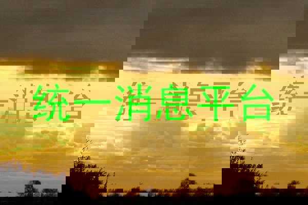 统一消息平台