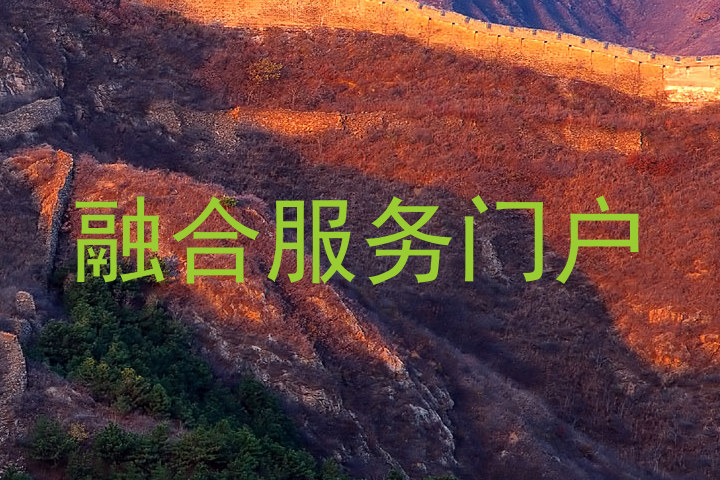 融合服务门户