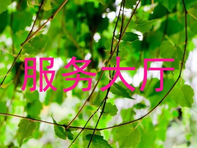 服务大厅