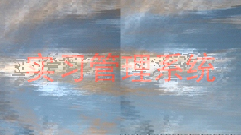 实习管理系统