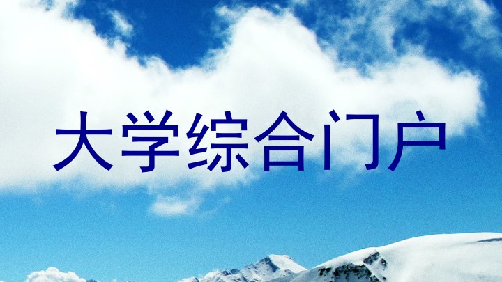 大学综合门户