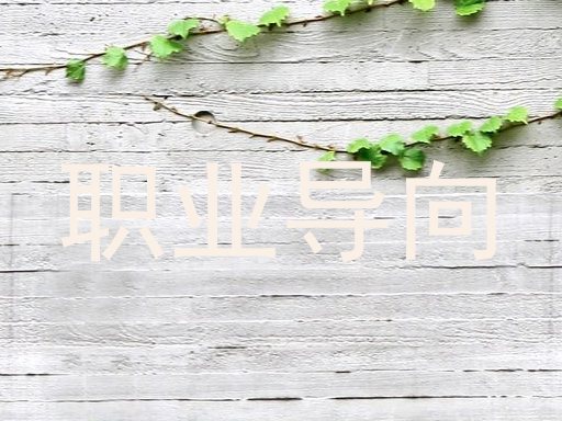 职业导向