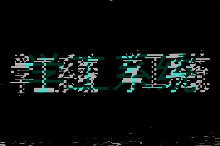 学工系统