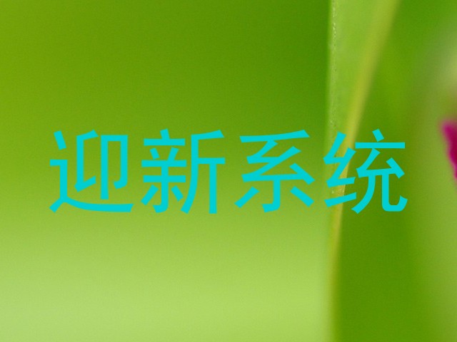 迎新系统