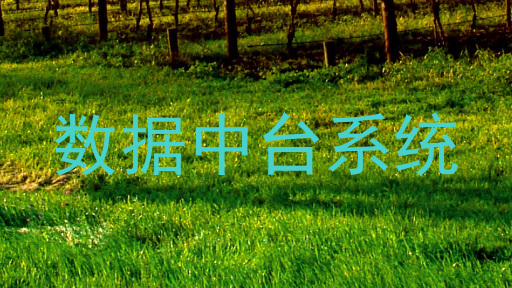 数据中台系统