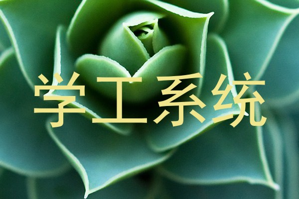 学工系统