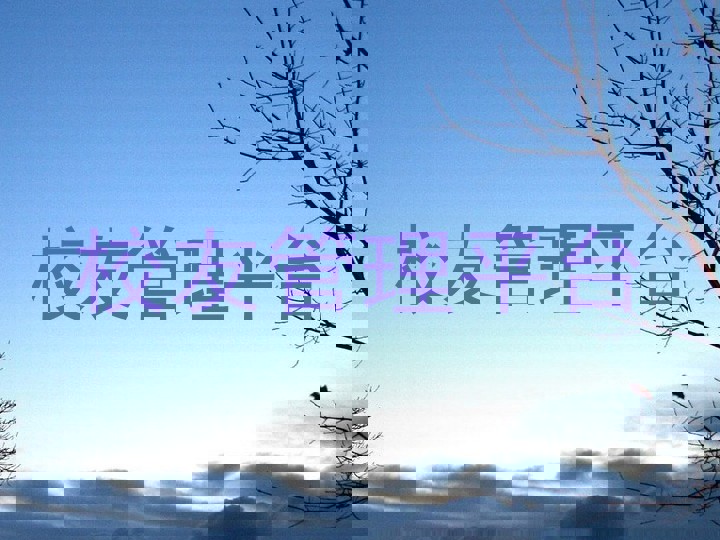 校友管理平台