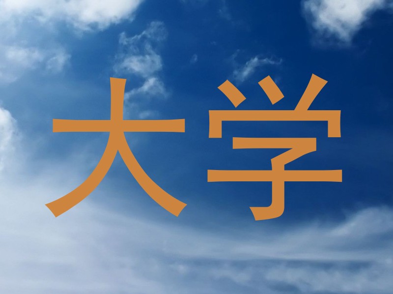 大学