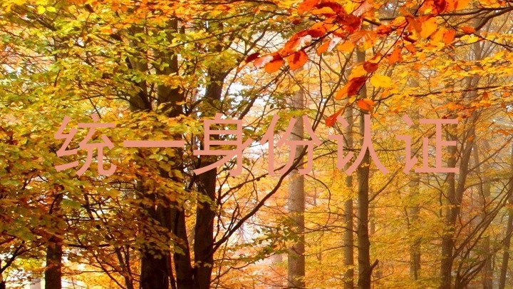 统一身份认证