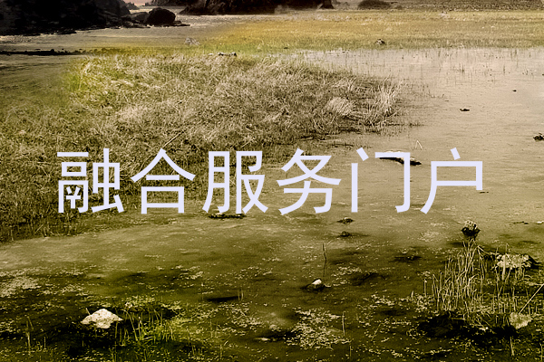 融合服务门户