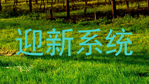 迎新系统